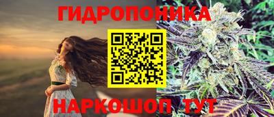 a pvp Обнинск