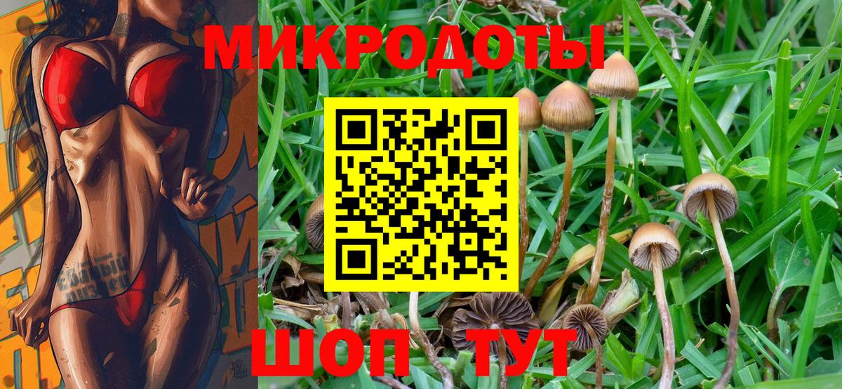Галлюциногенные грибы Psilocybine cubensis Сызрань